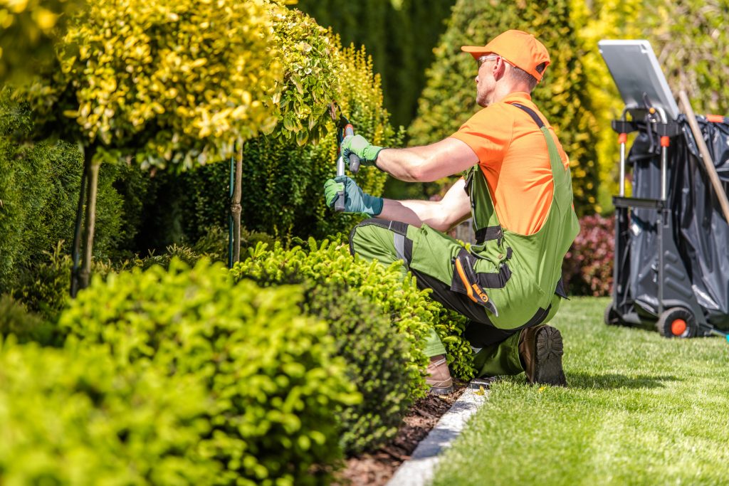 business insurance for landscaping